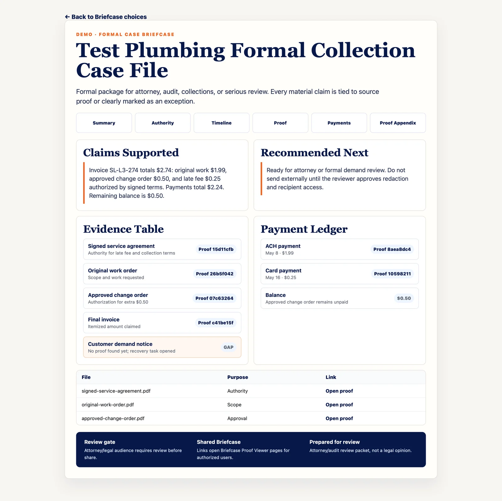 SupaLedgers Briefcase report showing proof-linked records and review gates